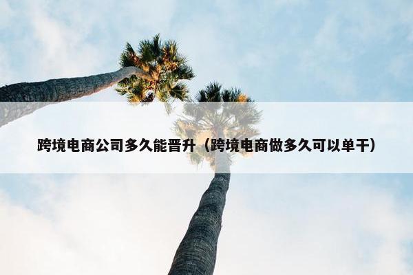 跨境电商公司多久能晋升（跨境电商做多久可以单干）