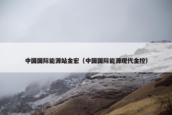 中国国际能源站金宏（中国国际能源现代金控）