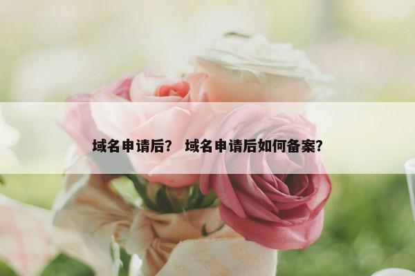 域名申请后？ 域名申请后如何备案？