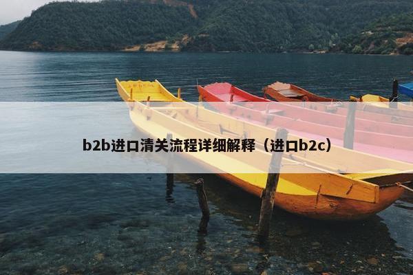 b2b进口清关流程详细解释（进口b2c）