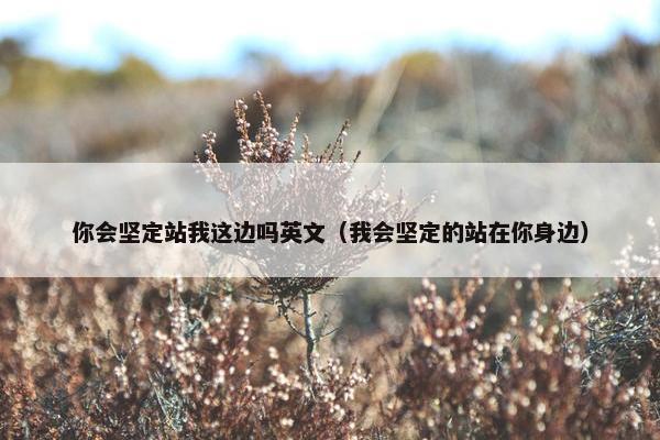 你会坚定站我这边吗英文（我会坚定的站在你身边）