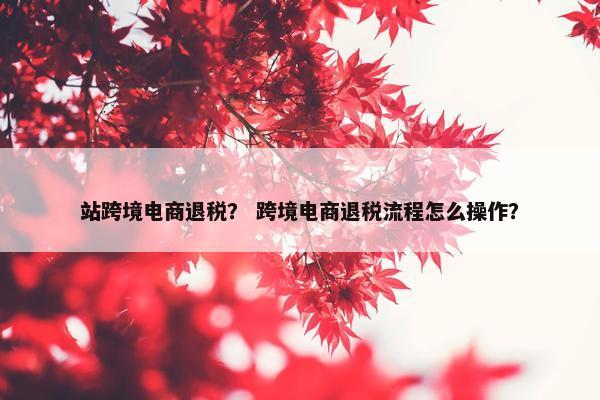 站跨境电商退税？ 跨境电商退税流程怎么操作？