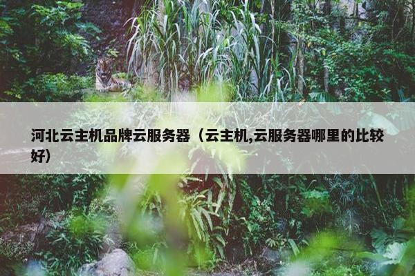河北云主机品牌云服务器（云主机,云服务器哪里的比较好）