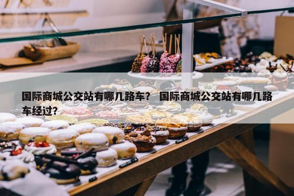 国际商城公交站有哪几路车？ 国际商城公交站有哪几路车经过？