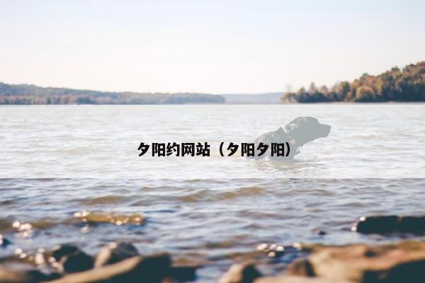 夕阳约网站（夕阳夕阳）