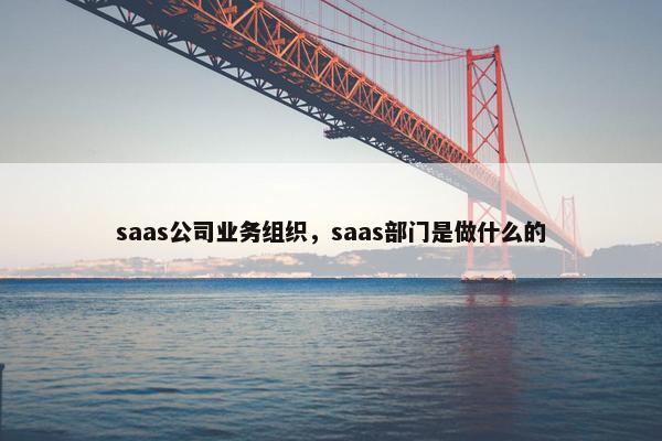 saas公司业务组织，saas部门是做什么的