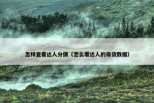 怎样查看达人分佣（怎么看达人的带货数据）