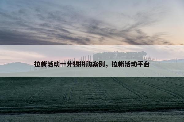 拉新活动一分钱拼购案例，拉新活动平台