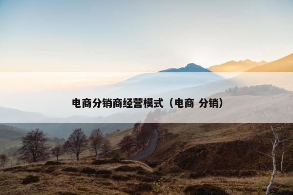 电商分销商经营模式（电商 分销）