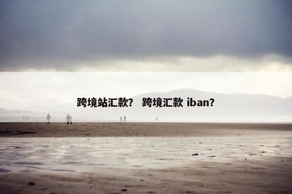 跨境站汇款？ 跨境汇款 iban？