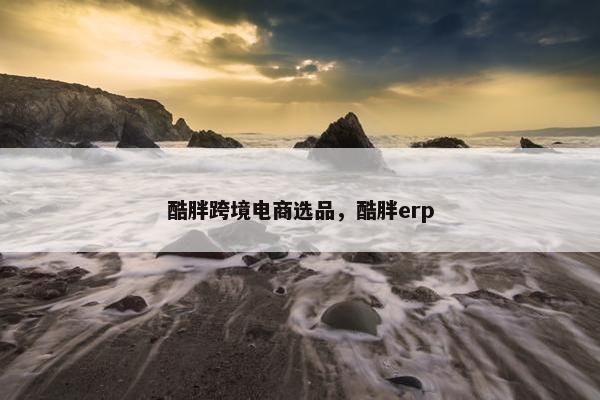 酷胖跨境电商选品，酷胖erp