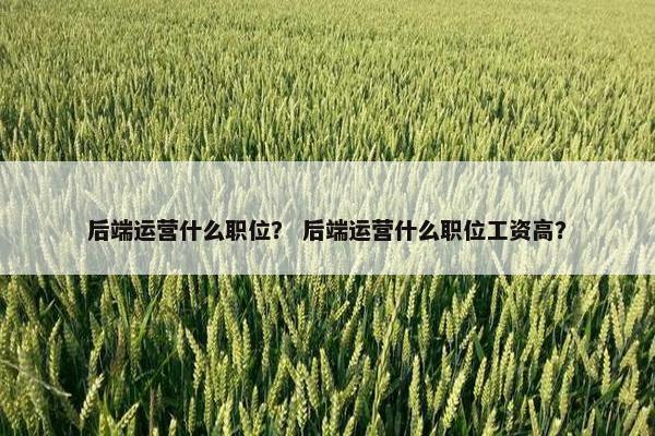 后端运营什么职位？ 后端运营什么职位工资高？