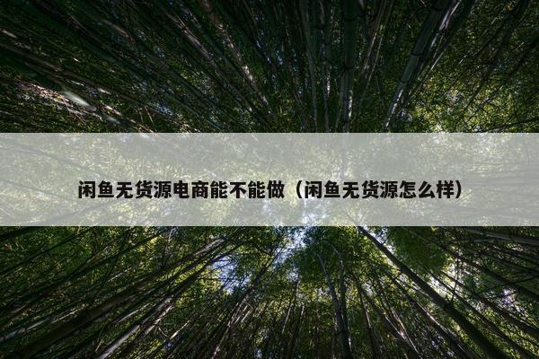 闲鱼无货源电商能不能做（闲鱼无货源怎么样）