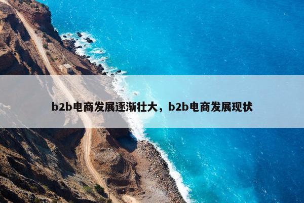 b2b电商发展逐渐壮大，b2b电商发展现状