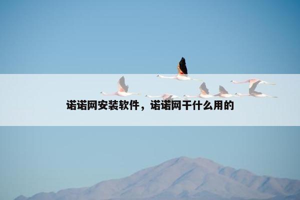 诺诺网安装软件，诺诺网干什么用的