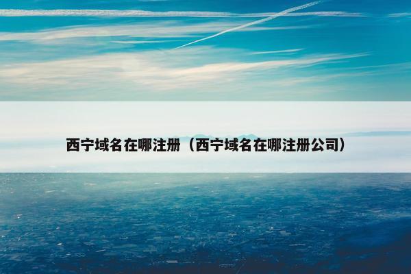 西宁域名在哪注册（西宁域名在哪注册公司）