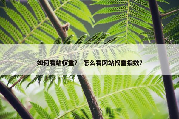 如何看站权重？ 怎么看网站权重指数？
