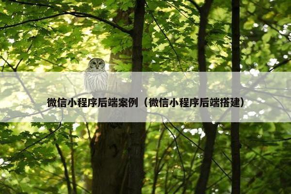 微信小程序后端案例（微信小程序后端搭建）