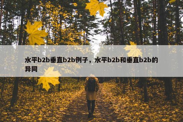 水平b2b垂直b2b例子，水平b2b和垂直b2b的异同