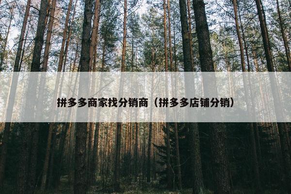 拼多多商家找分销商（拼多多店铺分销）