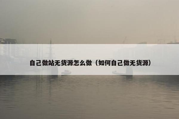 自己做站无货源怎么做（如何自己做无货源）