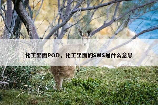 化工里面POD，化工里面的SWS是什么意思