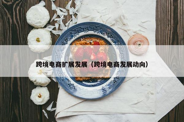 跨境电商扩展发展（跨境电商发展动向）