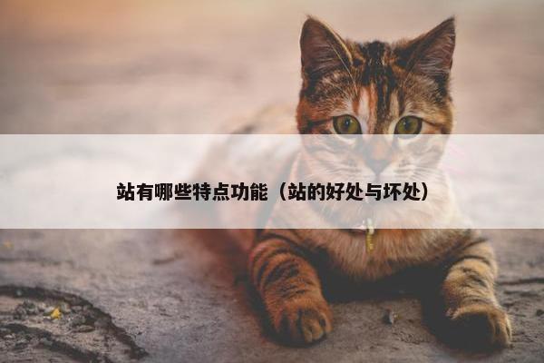站有哪些特点功能（站的好处与坏处）