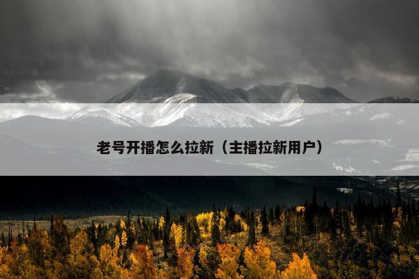 老号开播怎么拉新（主播拉新用户）