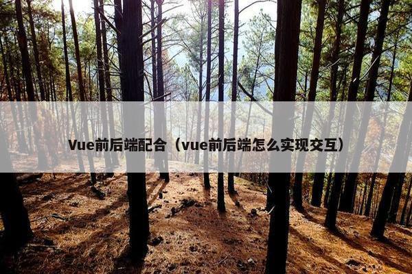 Vue前后端配合（vue前后端怎么实现交互）