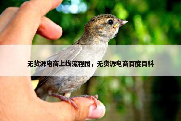 无货源电商上线流程图，无货源电商百度百科