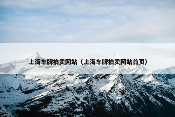 上海车牌拍卖网站（上海车牌拍卖网站首页）
