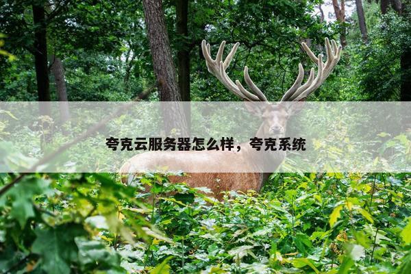 夸克云服务器怎么样，夸克系统