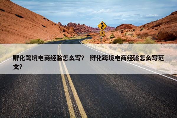 孵化跨境电商经验怎么写？ 孵化跨境电商经验怎么写范文？