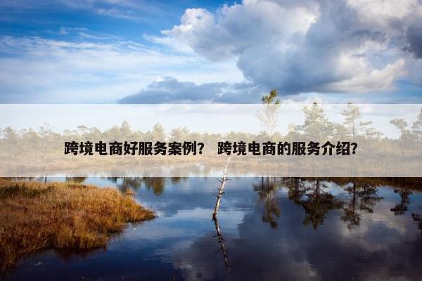 跨境电商好服务案例？ 跨境电商的服务介绍？
