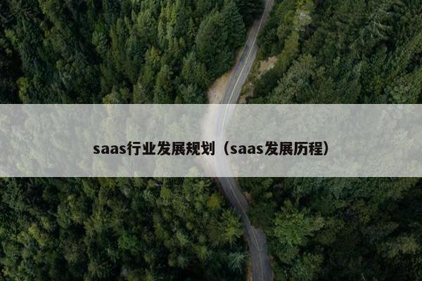 saas行业发展规划（saas发展历程）