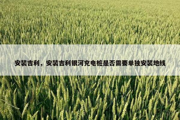 安装吉利，安装吉利银河充电桩是否需要单独安装地线