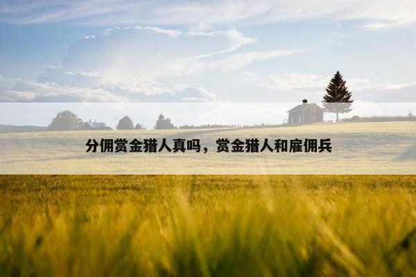 分佣赏金猎人真吗，赏金猎人和雇佣兵