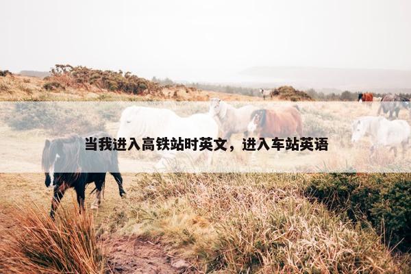 当我进入高铁站时英文，进入车站英语