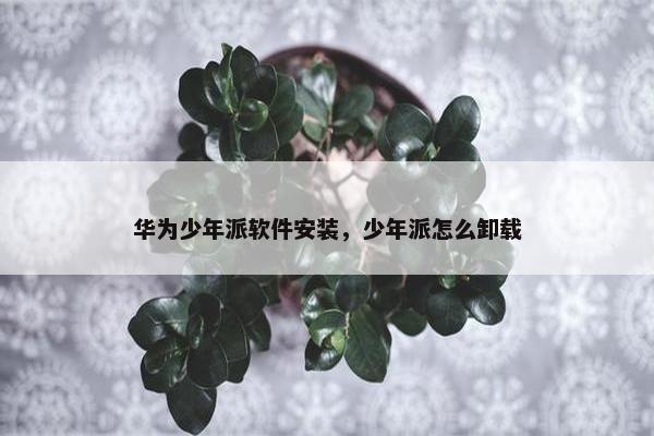 华为少年派软件安装，少年派怎么卸载
