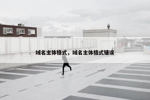 域名主体格式，域名主体格式错误