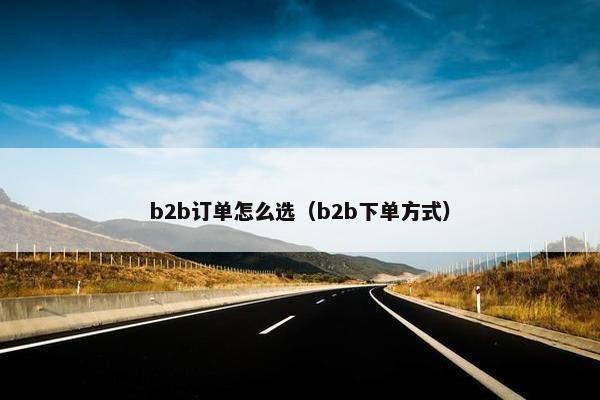 b2b订单怎么选（b2b下单方式）
