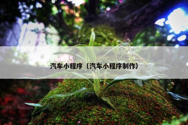 汽车小程序（汽车小程序制作）