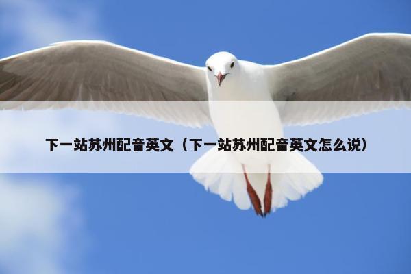 下一站苏州配音英文（下一站苏州配音英文怎么说）