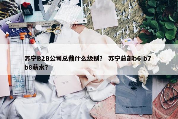 苏宁B2B公司总裁什么级别？ 苏宁总部b6 b7 b8薪水？