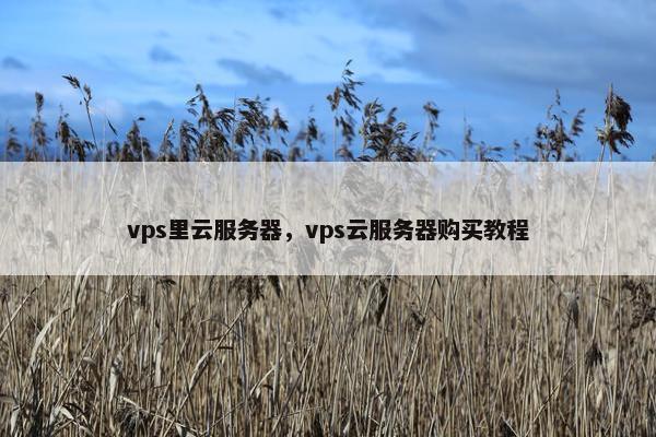 vps里云服务器，vps云服务器购买教程