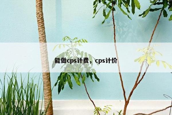 能做cps计费，cps计价