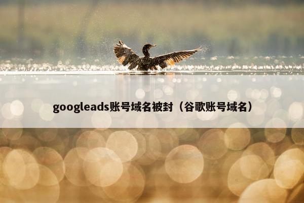 googleads账号域名被封（谷歌账号域名）