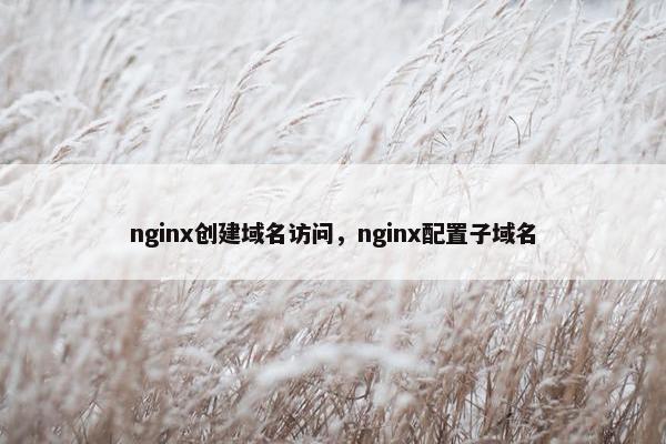 nginx创建域名访问，nginx配置子域名