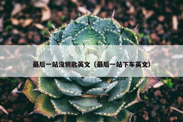 最后一站没钥匙英文（最后一站下车英文）